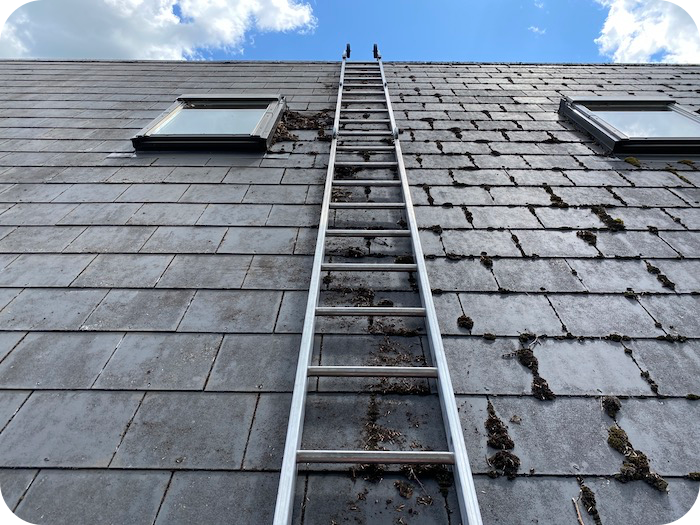 Roof Cleaning